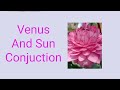 Sun And Venus Conjuction in Vedic Astrology..