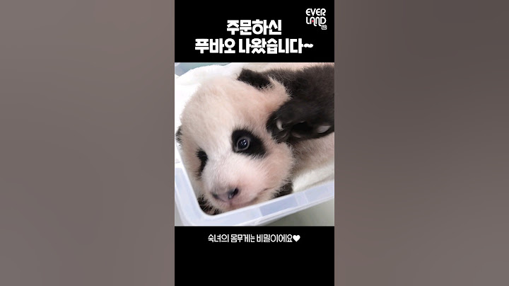 주문하신 푸바오 나왔습니다.gif│#힐링푸데이