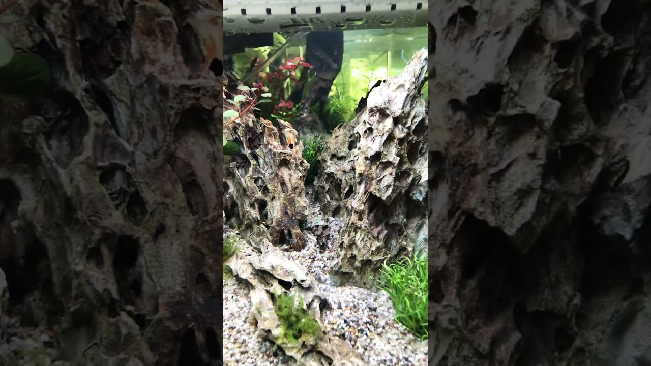 Stunning 40 Litre Mountain Scape Planted Aquarium Using Dragon Stone Best Fish To Add
