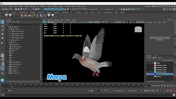 Realistic Animated Wood Pigeon Low-Poly in Maya