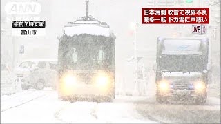 暖冬一転、ドカ雪に戸惑い　吹雪で視界不良　富山市(16/01/19)
