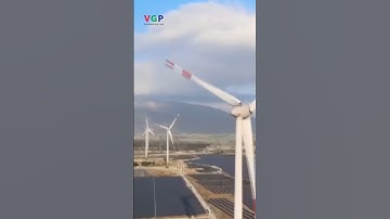 Yêu cầu EVN đề xuất giải pháp xử lý các dự án điện mặt trời do áp giá sai