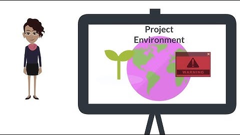 Introduction to Project Management   Project Environment