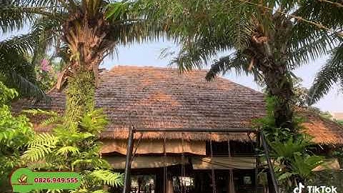 CÓT ÉP NHÂN TẠO – GIẢI PHÁP ỐP TRẦN & TƯỜNG BỀN ĐẸP, SANG TRỌNG