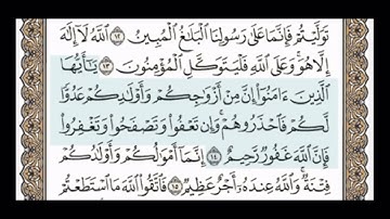 سوره التغابن من 14 الى 15