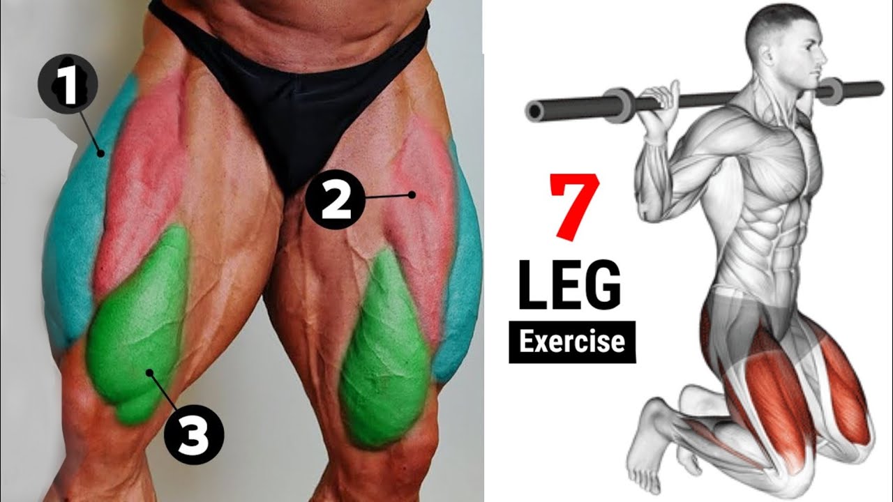 most effective leg workout dumbbells fitness workout YouTube