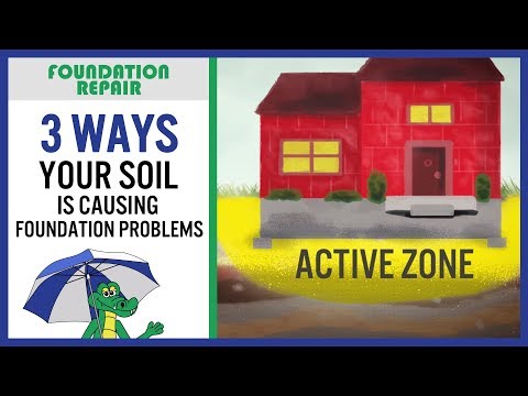🐊 3 Ways your Soil is Causing Foundation Problems | Expansive Soil