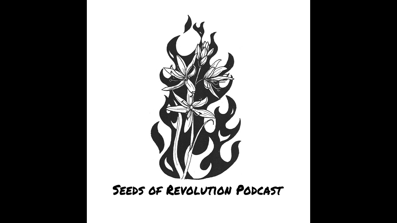 Kitty Stryker on her new book "Love Rebels: How I learned to Burn It Down Without Burning Out"