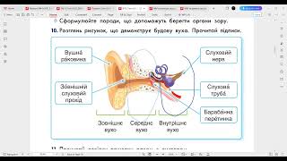 05.05 ЯПС Т31 Урок 272 (3 клас)