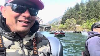 Spring Chinook Fishing Drano Lake with Coon Shrimp and spinners