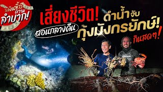 เกาะลับกุ้งมังกรยักษ์เยอะมาก! ดำล่าตอนกลางคืนด้วยมือเปล่าหาได้มูลค่าหลักหมื่น![สาระตั้ม-Thumbntk]