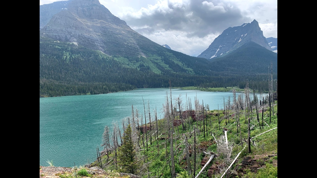 Creationary Flood Models: Another Viewpoint
