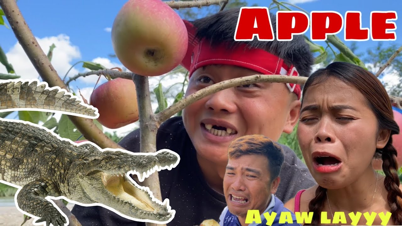 APPLE ||GI GUKOD NI LALAY SI DONYOK CHARMINA UG KIRAY KAY GI HILABTAN ANG APPLE NI JOYAKS