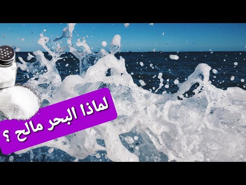 فيديو: ما هو مصدر معظم المعادن الذائبة في مياه البحر؟