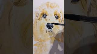 Celebrity Cavapoo painting 🐾 #cavapoo #cavapooart #painting #art Net Worth