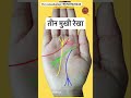 तीन मुखी रेखा #astrovigya #palmistry #palmreader