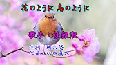 花のように鳥のように すぎもとまさと カラオケ Youtube 花のように鳥のように すぎもとまさと カラオケ Youtube