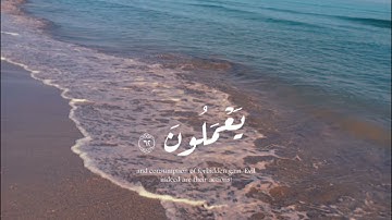 تلاوة خيالية _أبو بكر الشاطري ~ Aboubakr Achateri -