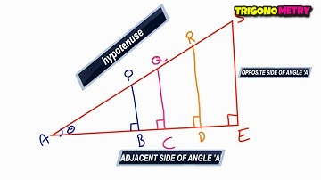 10th maths tutorial - 10th class maths trigonometry - basics of trigonometry - chapter 11 l PART 1