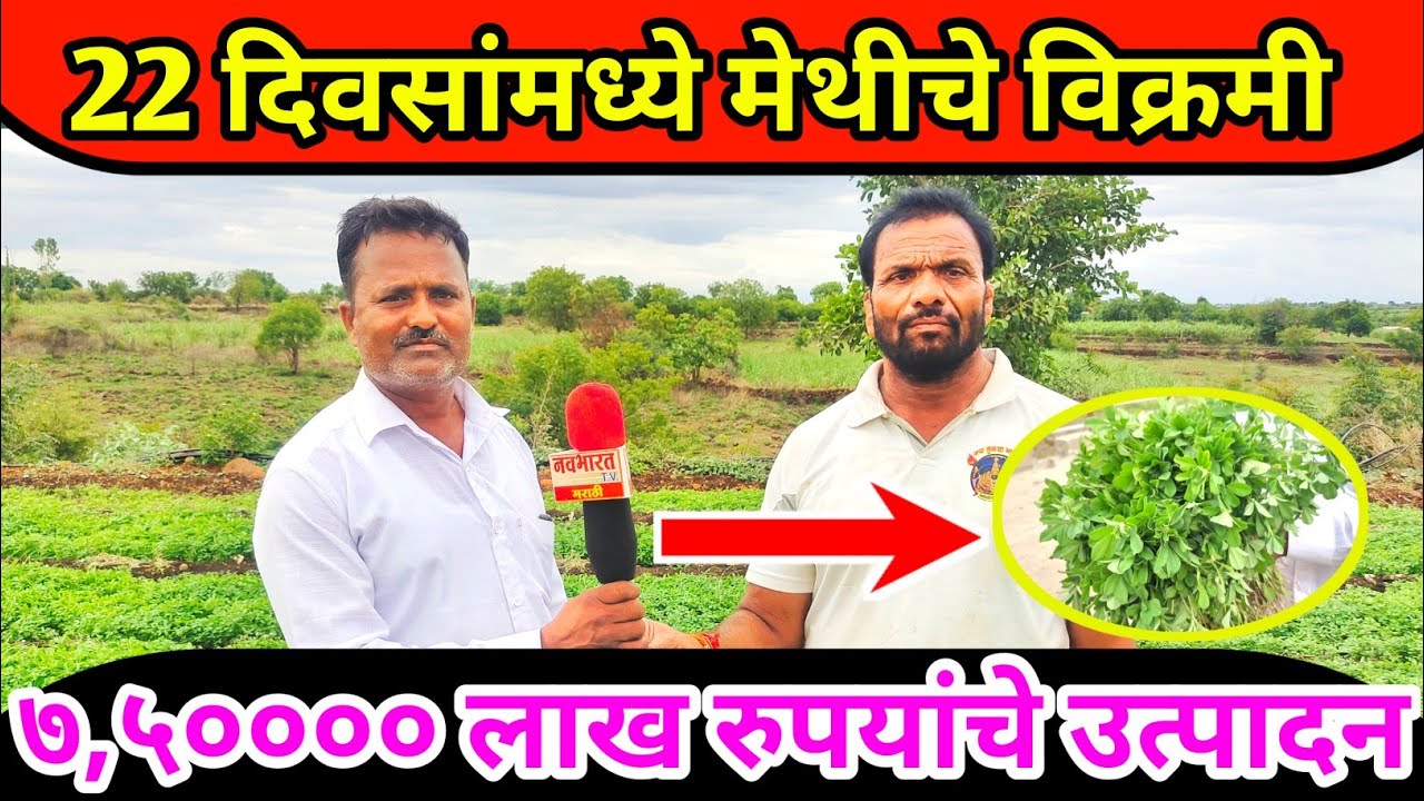 चक्क दोन एकर मेथीची लागवड.