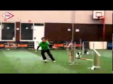knpv berger hollandais VDH Deutsche Meisterschaft Agility 2014 LIVE