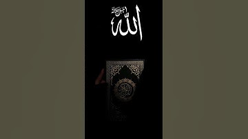تلاوة تبكي القلوب بصوت خالد عبد الجلال - خشوع لا يوصف 🤲❤
