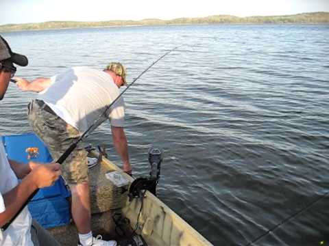 Kentucky Lake Fishing - YouTube