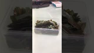 S6Cgv02A01 - 68U Kulak S6Cg22Ba01 - 74U.kulak. S6Cgv02A01 - 66U Kulak Sıfır Ayarında Satışta