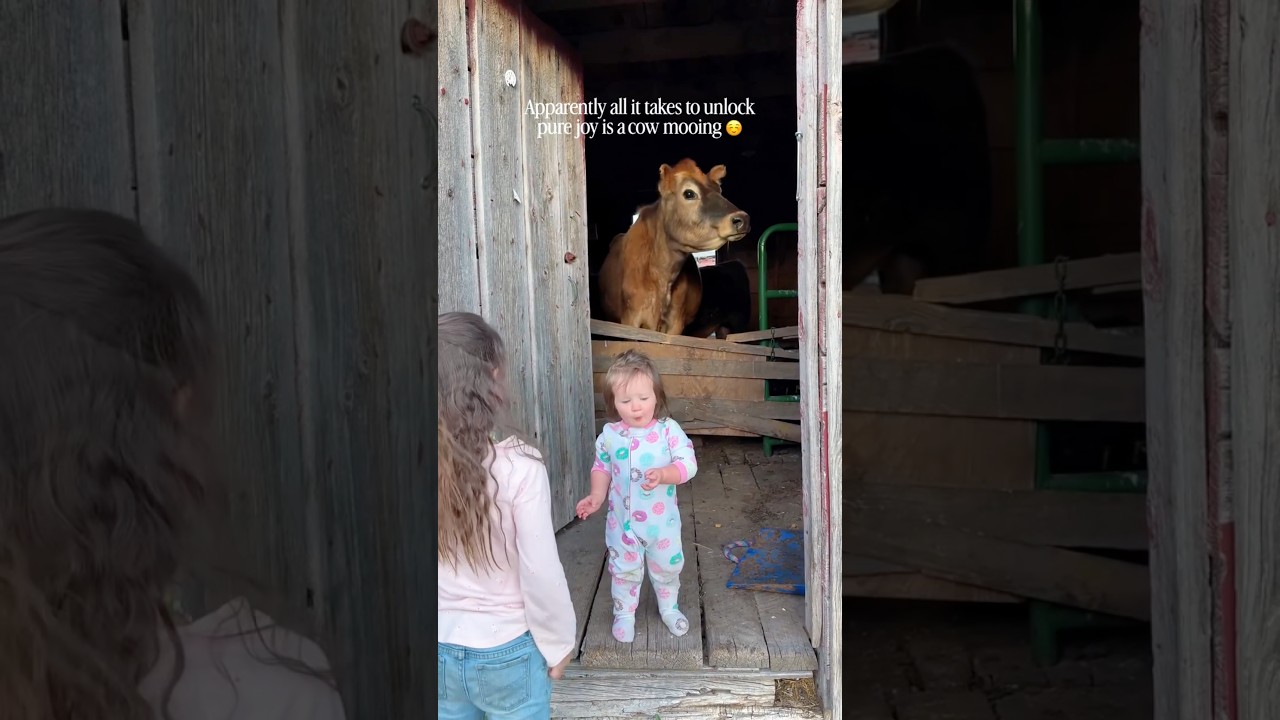 When your kid tries to help on the farm… chaos ensues. #FarmLife #TinyHelpers #ParentingHumor