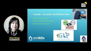 Understanding lab testing in psychedelics