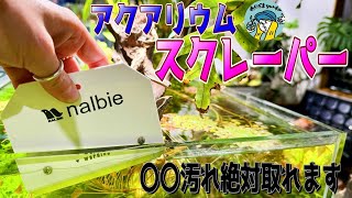 【アクアリウム】アクアリストに使ってほしい！（水槽の水垢が一発で取れるスクレーパーがあるのをご存じですか？ナルビーアクアリウムスクレーパー）