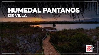 HUMEDAL PANTANOS DE VILLA: El MÁGICO refugio de vida SILVESTRE en LIMA | Perú Sorprendente