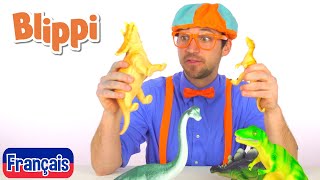 Découvrez le nom des dinosaures - Blippi en français | Vidéos éducatives pour les enfants