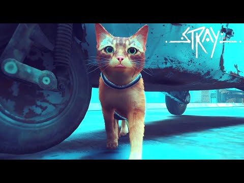 衝撃の展開すぎる猫になれるゲーム『Stray』#4