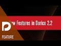 What's New in Dorico 2.2 | Features Video