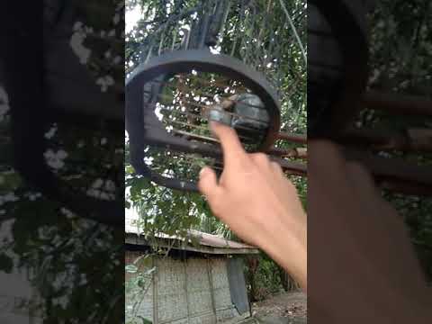 MERBOK PIKATKAMPUNG KOCAKGONDANG BOBMARLEY PERKUTUT ZEBRADOVE