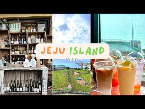 [ENG] 좌충우돌 제주도 2박3일 여행! 동문야시장 탐방, 숙소 대난투, 서핑, 랜디스 도넛, 981파크 카트, 고기국수, 돔베고기