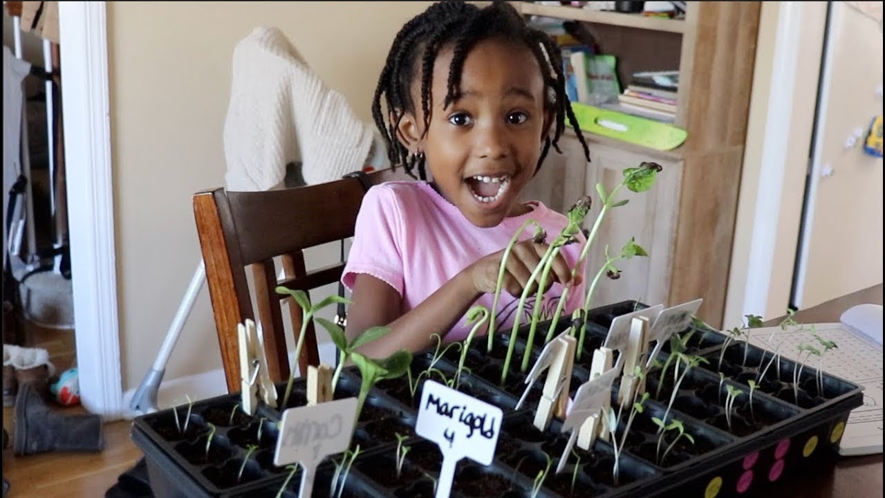 Being A Homeschool Mom | Our Garden is Growing | Science Curriculum