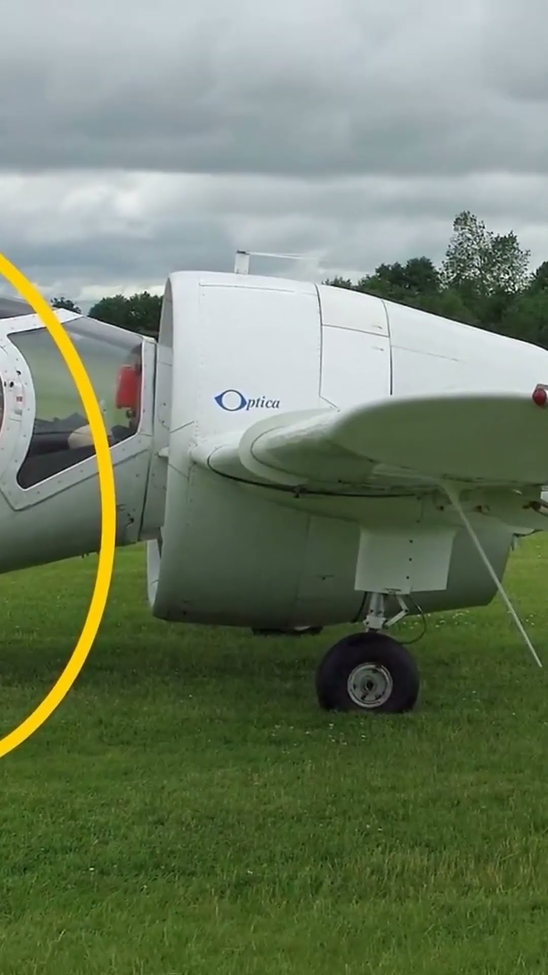 ? Esse Avião Dragonfly foi Projetado Para Passeios Turísticos