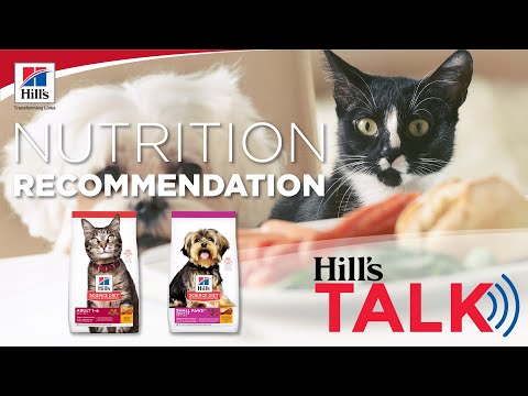 ็Hill's Talk: รู้หรือไม่ น้องหมาน้องแมวมีความต้องการสารอาหารต่างกัน