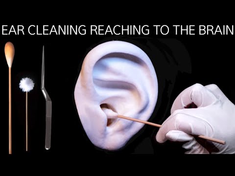직접 만든 불면증 치료제 뇌까지 닿는 귀청소 🤤 ASMR 4 Triggers for Deep Sleep & Pleasant Tingles