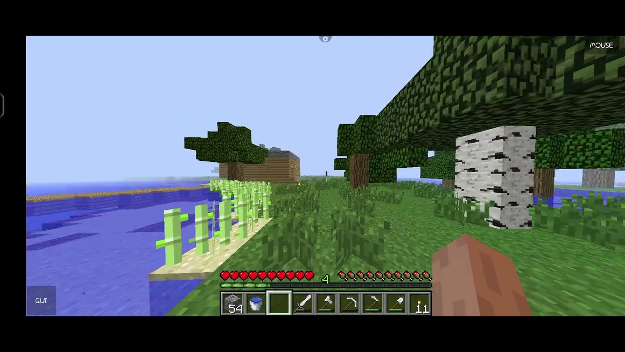 Seeing a white enderman