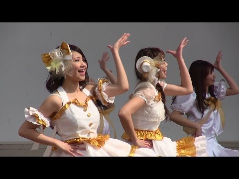 CHEST COMPLEX チェストコンプレックス かのやばら園