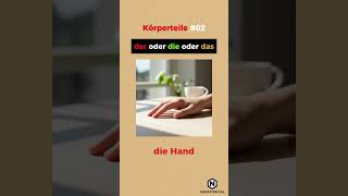 🧠 Körperteile Vokabeln #2 auf Deutsch | Deutsch Lernen für Anfänger 🇩🇪👂🦵