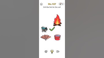 Brain out solution level127