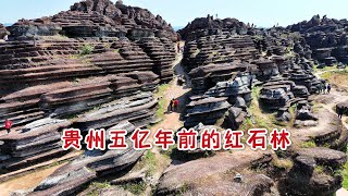 令人意外，贵州村民无意间挖出五亿年前形成的红石林，走进让人大开眼界！