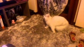 Winnie e le bolle di sapone!! screenshot 3