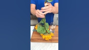 The right way to put artificial flowers in a vase