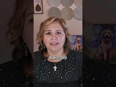 🧠 Brain Injury, No Safety Net | Uninsured & Underinsured Motorist Stories (Part 2