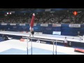 Parallel Bars - Olympic Gymnastics of London 2012